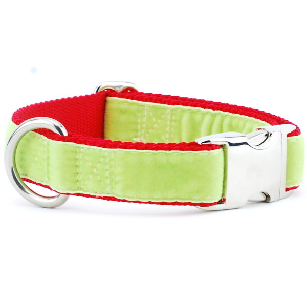 Lime Green/Red Holiday Velvet Essential Martingale Dog Collar