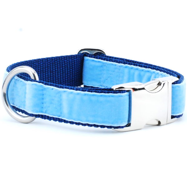 Light Blue/Navy Holiday Velvet Essential Martingale Dog Collar