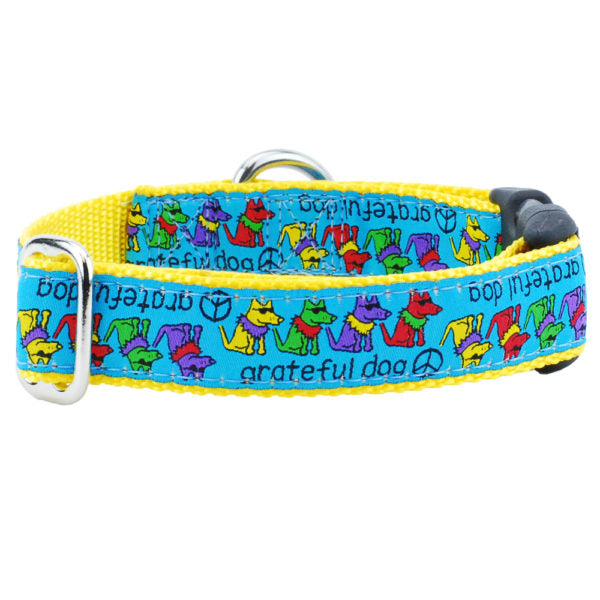 1″ Grateful Dog Teddy The Dog Essential Martingale Dog Collar