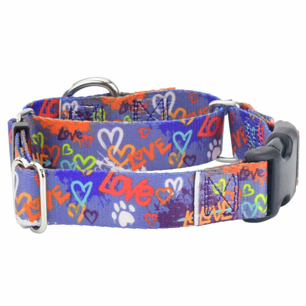 Love Graffiti Blue Buckle Martingale Dog Collar – EarthStyle