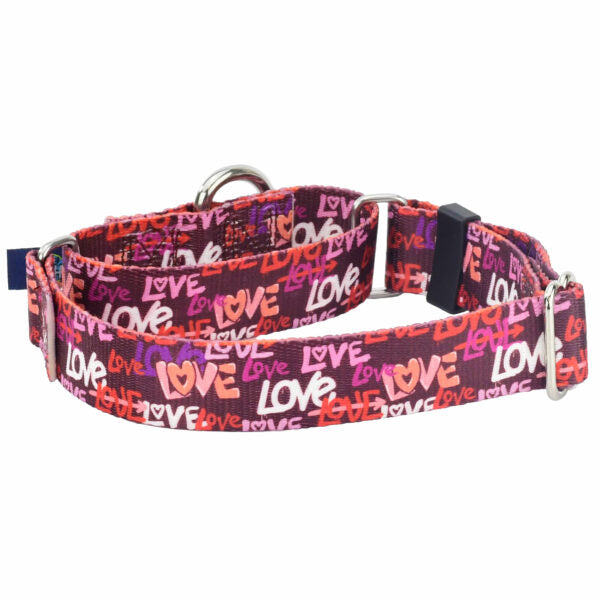 Love Graffiti Red Martingale Dog Collar – EarthStyle