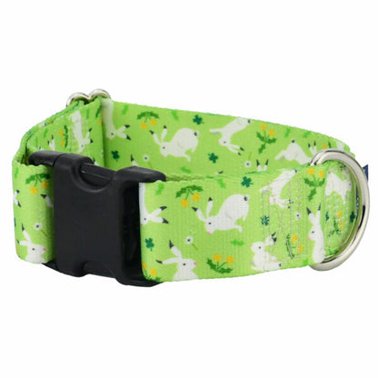 Lucky Dog Dog Collar – EarthStyle