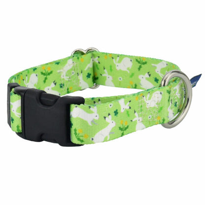 Lucky Dog Dog Collar – EarthStyle