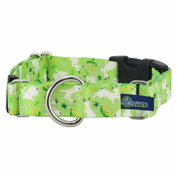 Lucky Dog Buckle Martingale Dog Collar – EarthStyle