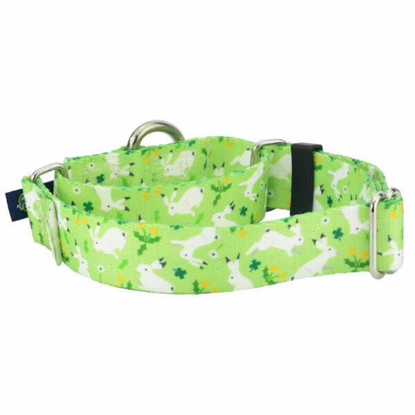 Lucky Dog Martingale Dog Collar – EarthStyle