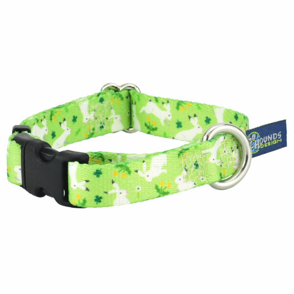 Lucky Dog Dog Collar – EarthStyle