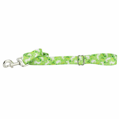 Lucky Dog Leash – EarthStyle