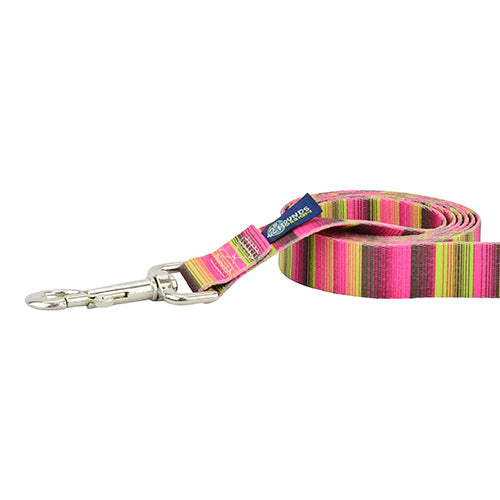 Bonnie Dog Leash – EarthStyle