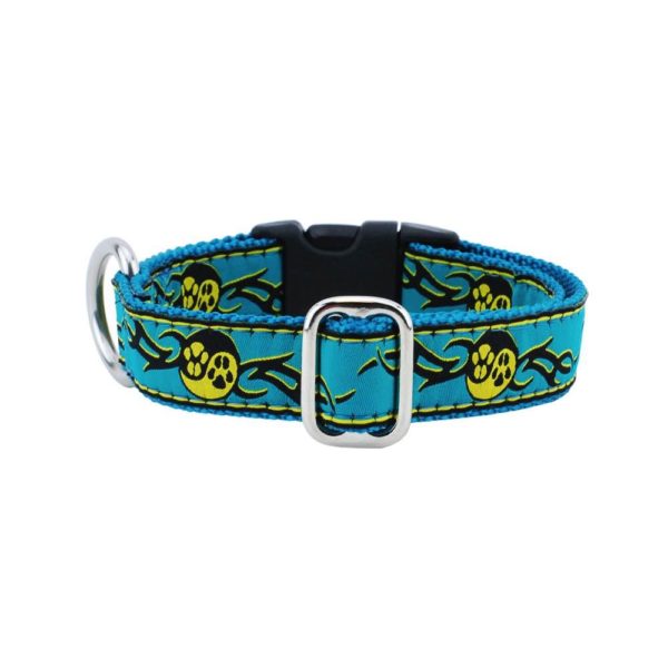 1″ Paw Yang Teal Essential Martingale Dog Collar