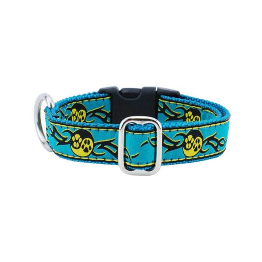 1″ Paw Yang Teal Essential Martingale Dog Collar