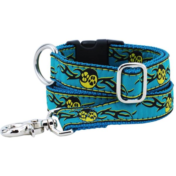 1″ Paw Yang Teal Essential Dog Collar