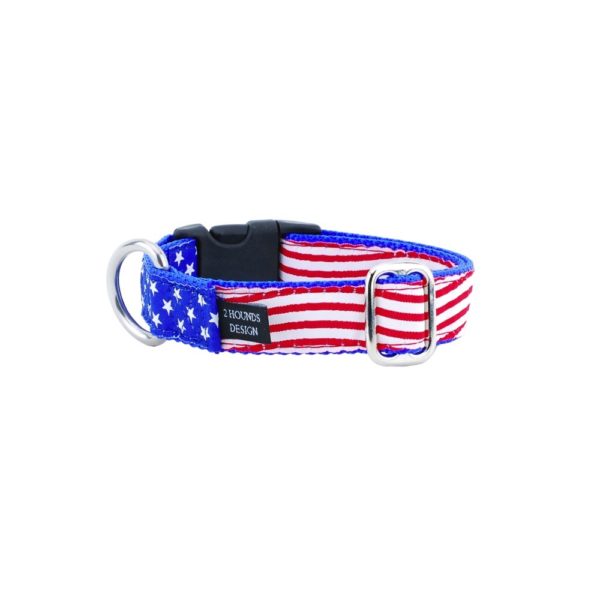 1″ Stars and Stripes Essential Buckle Martingale Dog Collar