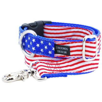 1″ Stars and Stripes Ribbon Dog Leash