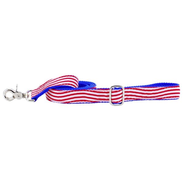 1″ Stars and Stripes Ribbon Dog Leash