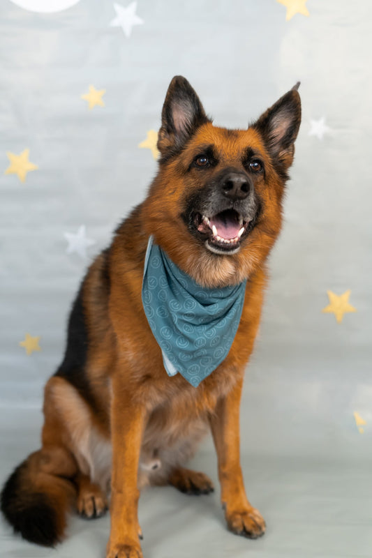 SLEEPY SMILES DREAM DOG BANDANA