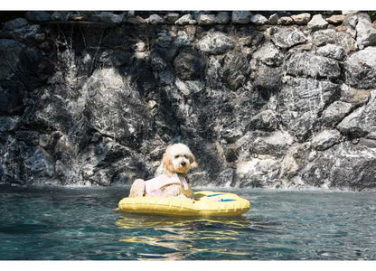 Doggy Lazy Lounge Raft Large