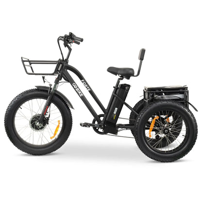 FORTE Electric Tricycle