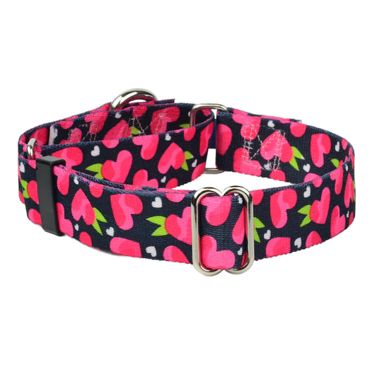 Fruity Hearts Martingale Dog Collar – EarthStyle (1" Only)