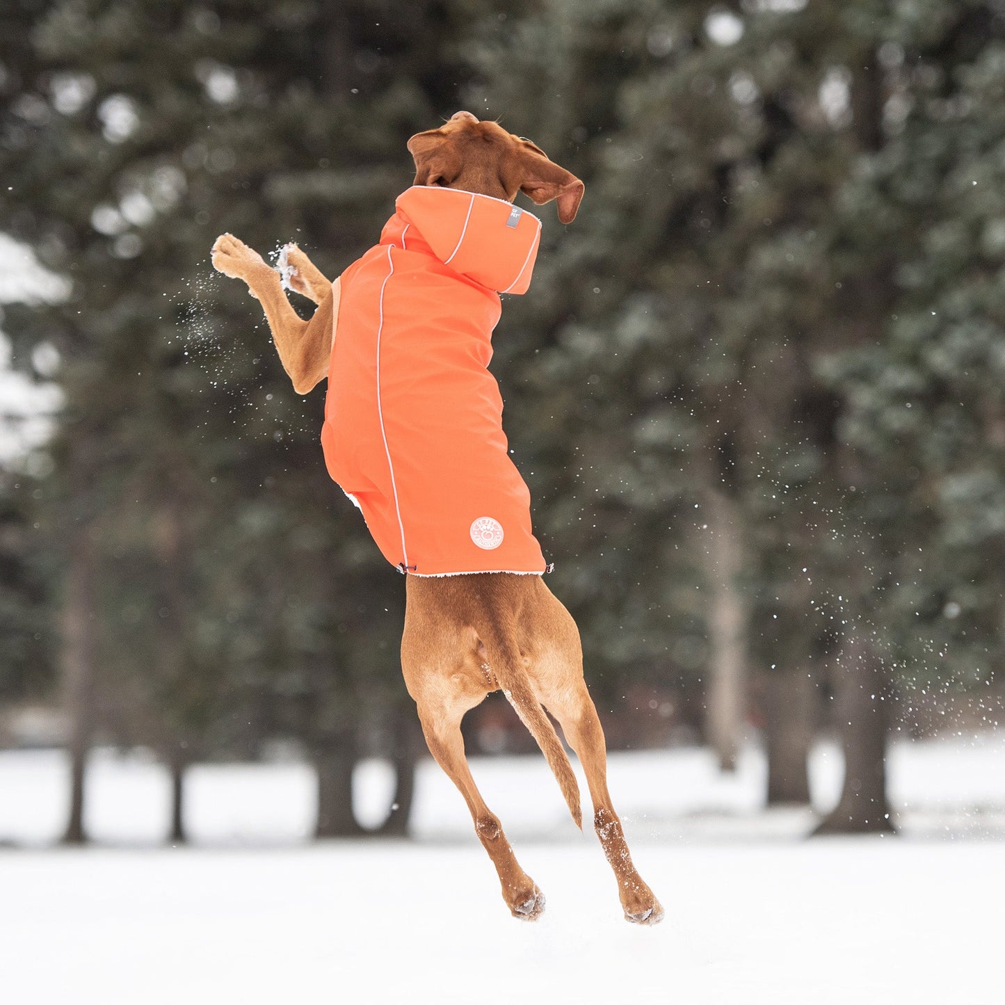 Insulated Raincoat - Orange