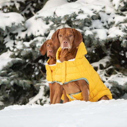 Arctic Parka - Yellow