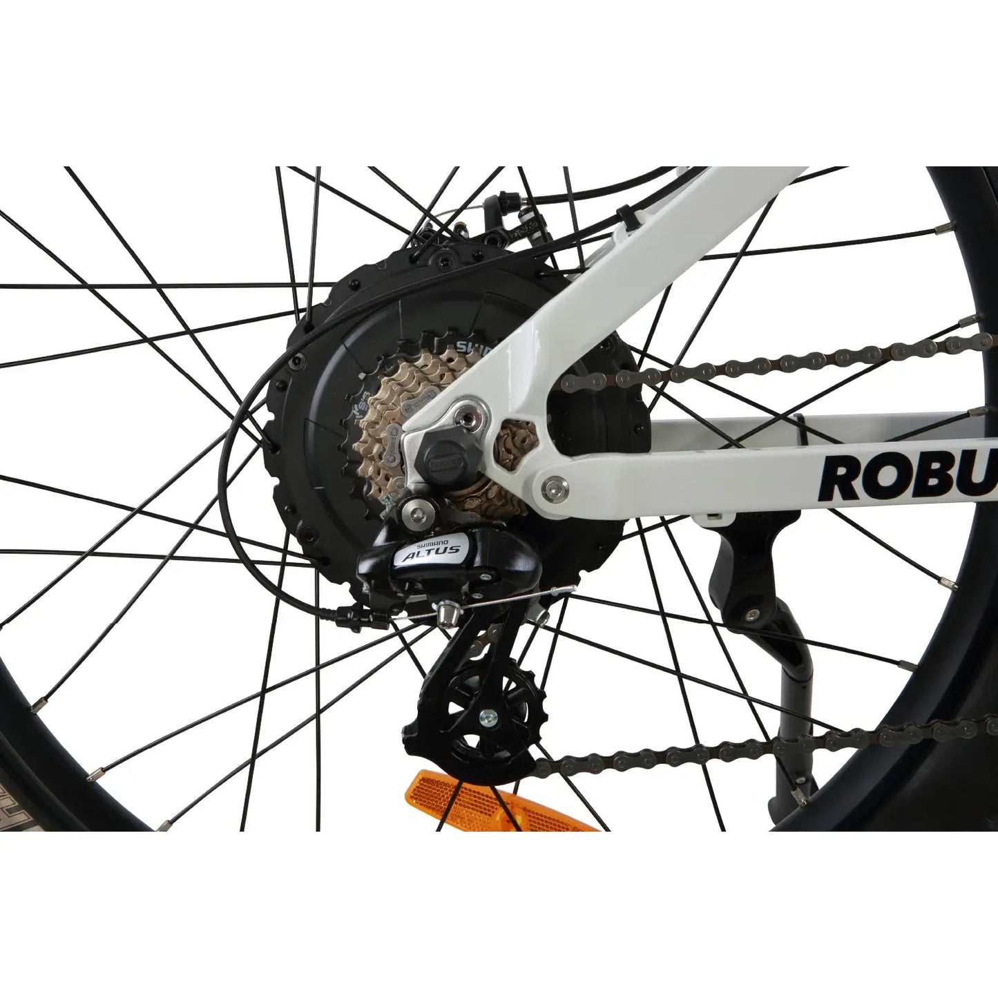 ROBUSTO Electric Mountain Bike