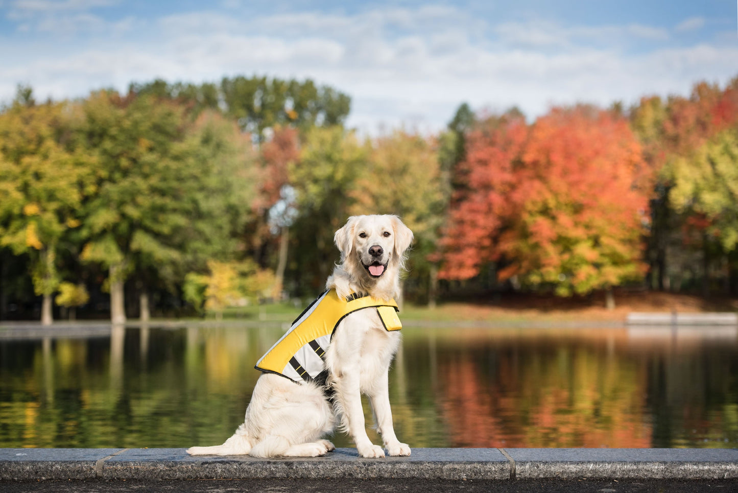 Life Vest - Dog Life Jacket