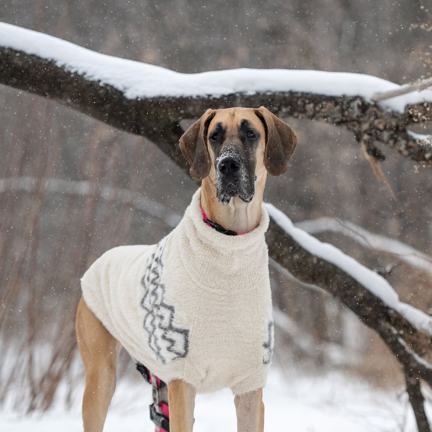 Fuzzy Sweater