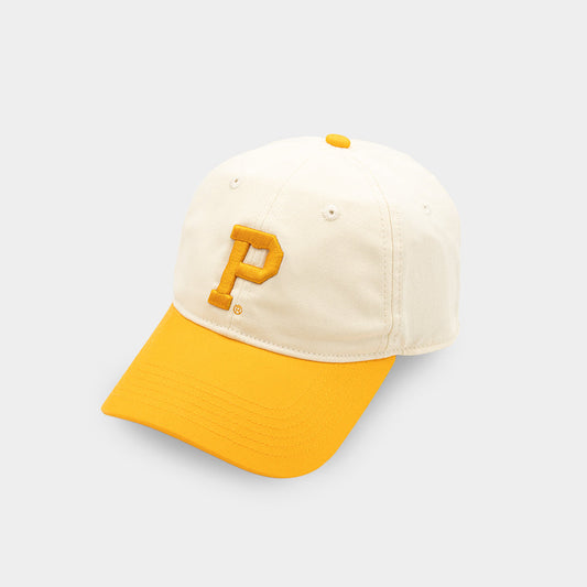 Two-Tone Dad Hat