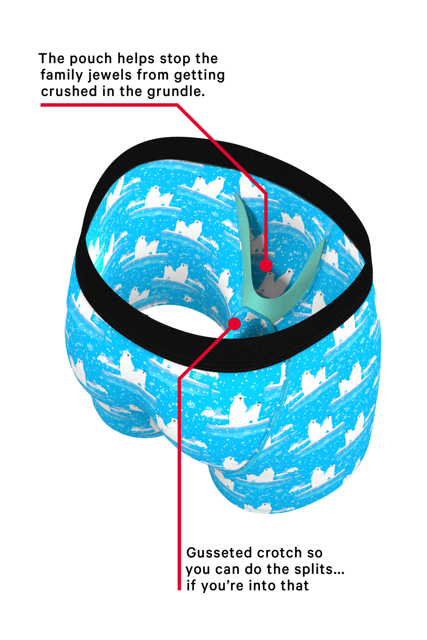 The Polar Plunge | Polar Bear Ball Hammock® Boxer and Cheeky Underwear Pack