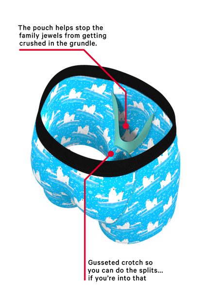 The Polar Plunge | Polar Bear Ball Hammock® Boxer and Cheeky Underwear Pack