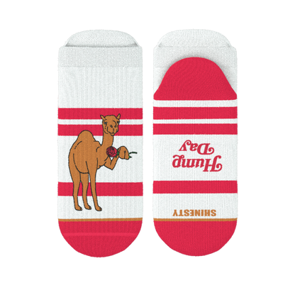 The Hump Day | Camel Heel Hammock™ Ankle Socks