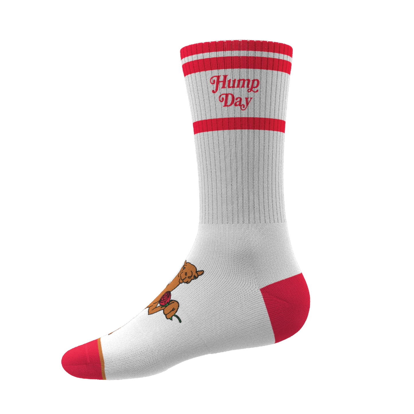 The Hump Day | Camel Heel Hammock™ Crew Socks