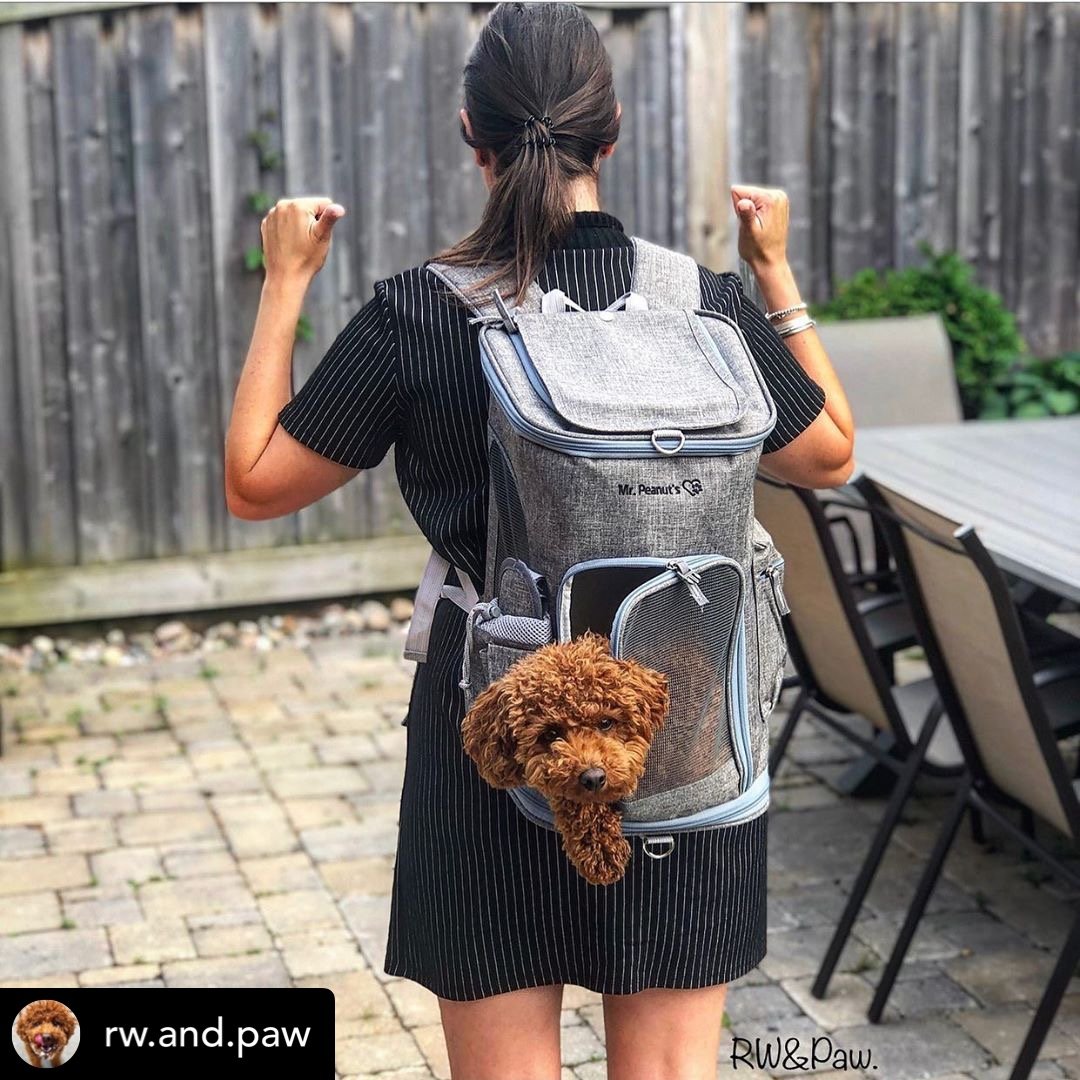 Mr. Peanut's Vancouver Series Backpack Pet Carrier for Smaller Cats and Dogs