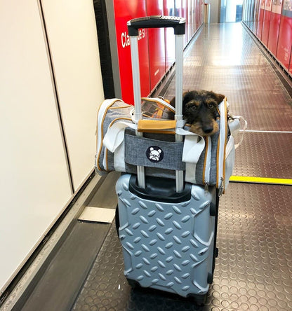 Mr. Peanut's Platinum Series Expandable Pet Carrier