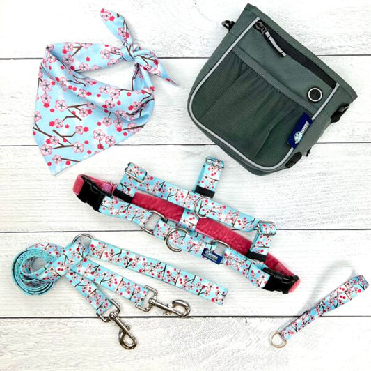 **BUNDLE!** Cherry Blossoms Blue Freedom No-Pull Harness & More!