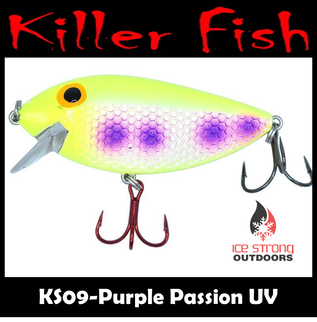 NEW!!!  Killer Fish - Rattling Shallow Diver UV