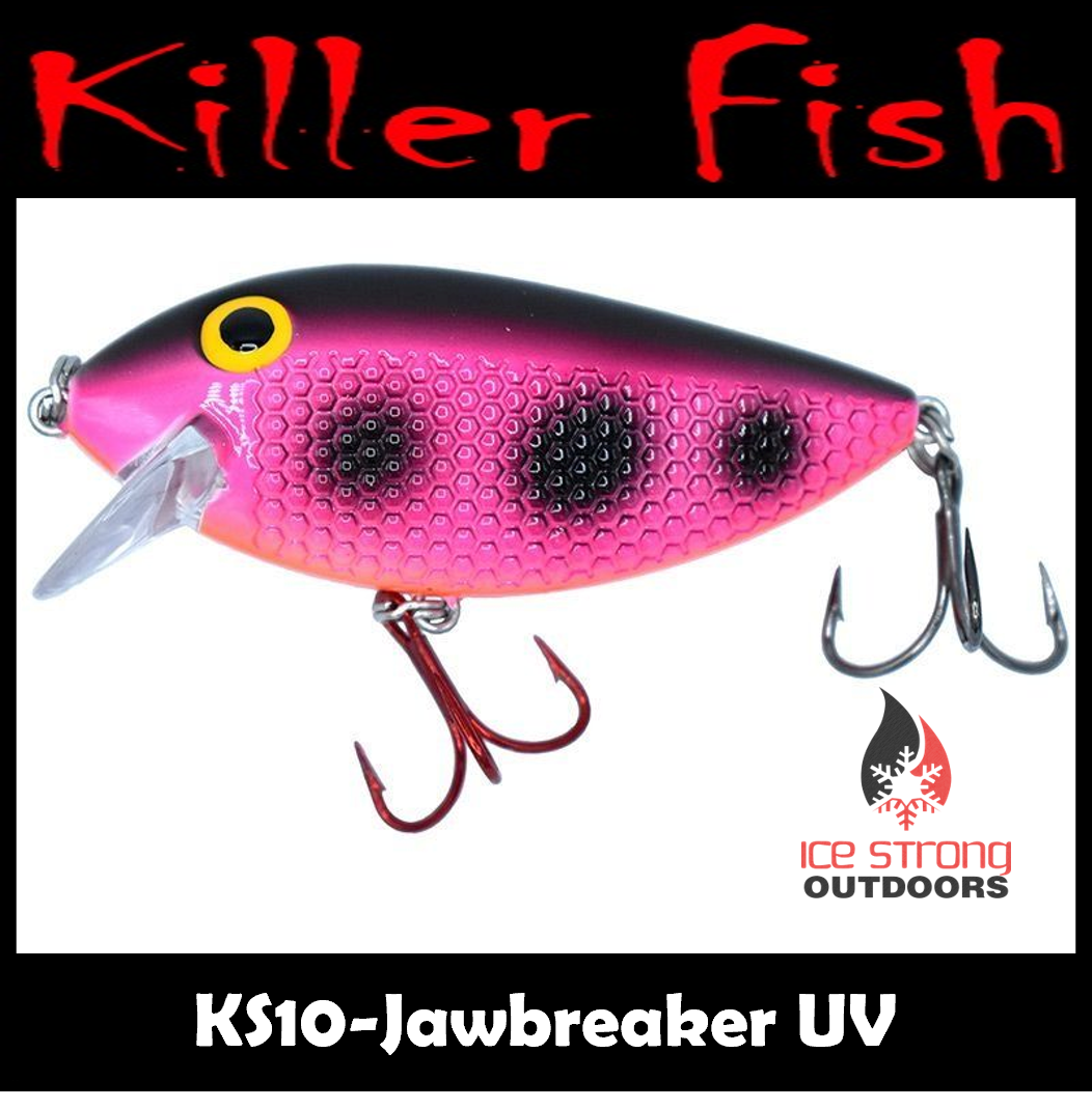 NEW!!!  Killer Fish - Rattling Shallow Diver UV