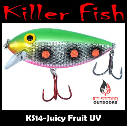 NEW!!!  Killer Fish - Rattling Shallow Diver UV