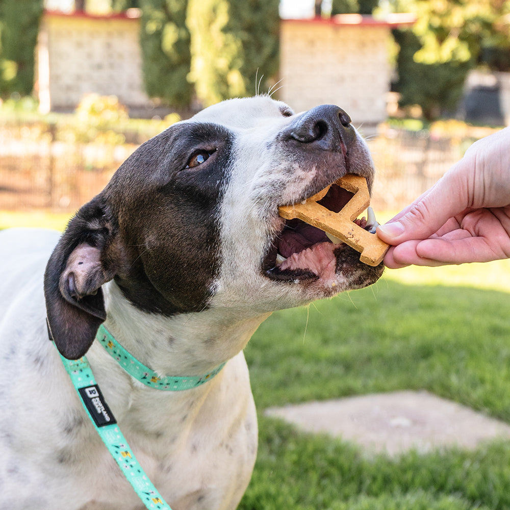 Dog Treats "P" Shape