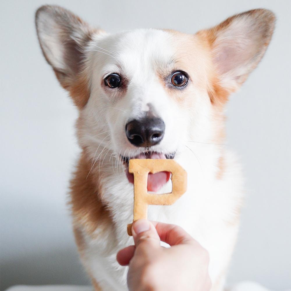 Dog Treats "P" Shape