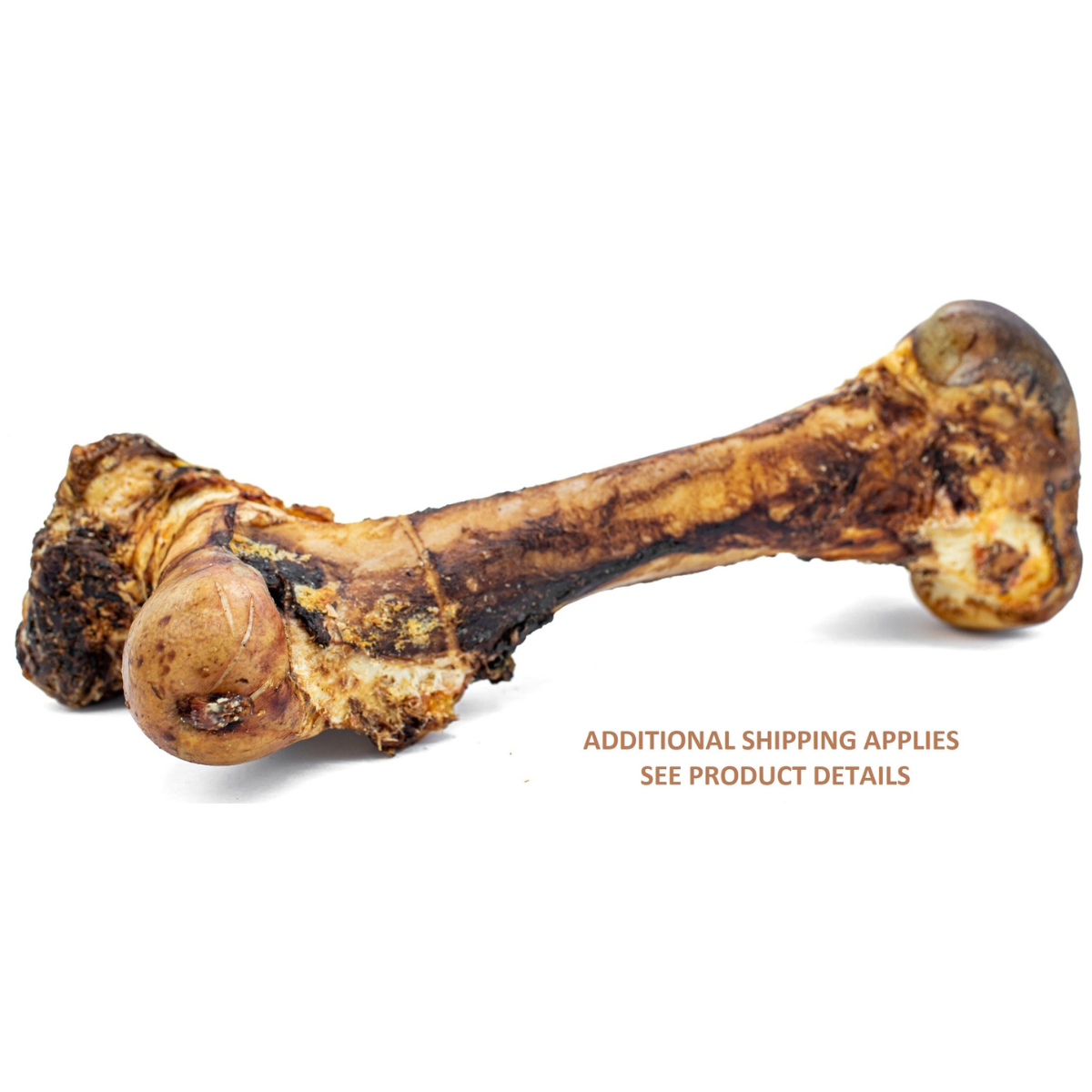 Monster Femur Bone