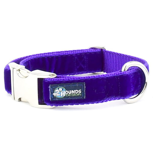 Purple Velvet Essential Martingale Dog Collar