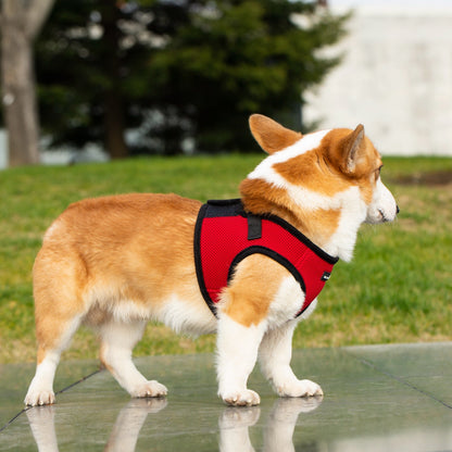 Mr. Peanut's PupTrek Small Dog/Cat Soft Mesh Step In Harness Vest