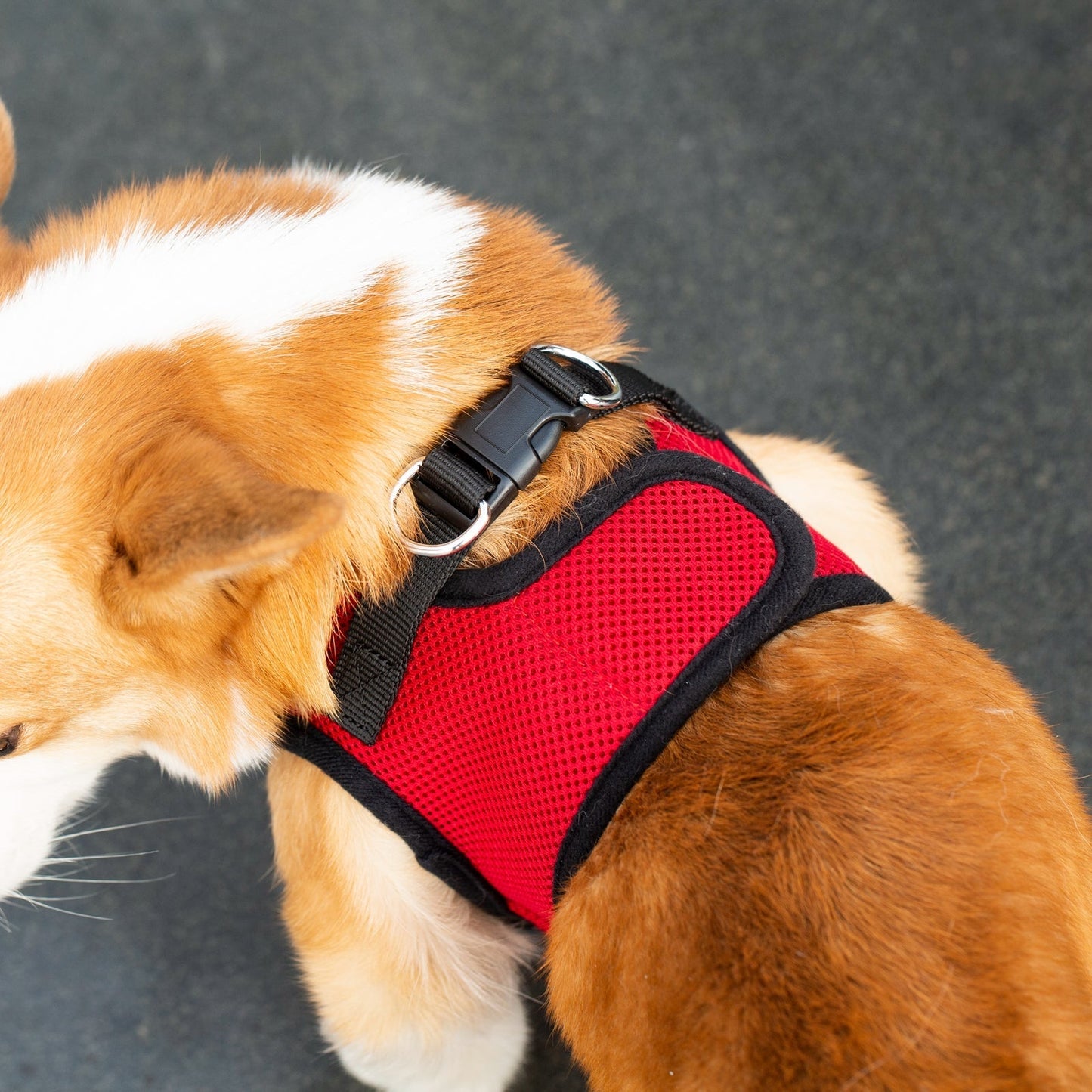 Mr. Peanut's PupTrek Small Dog/Cat Soft Mesh Step In Harness Vest