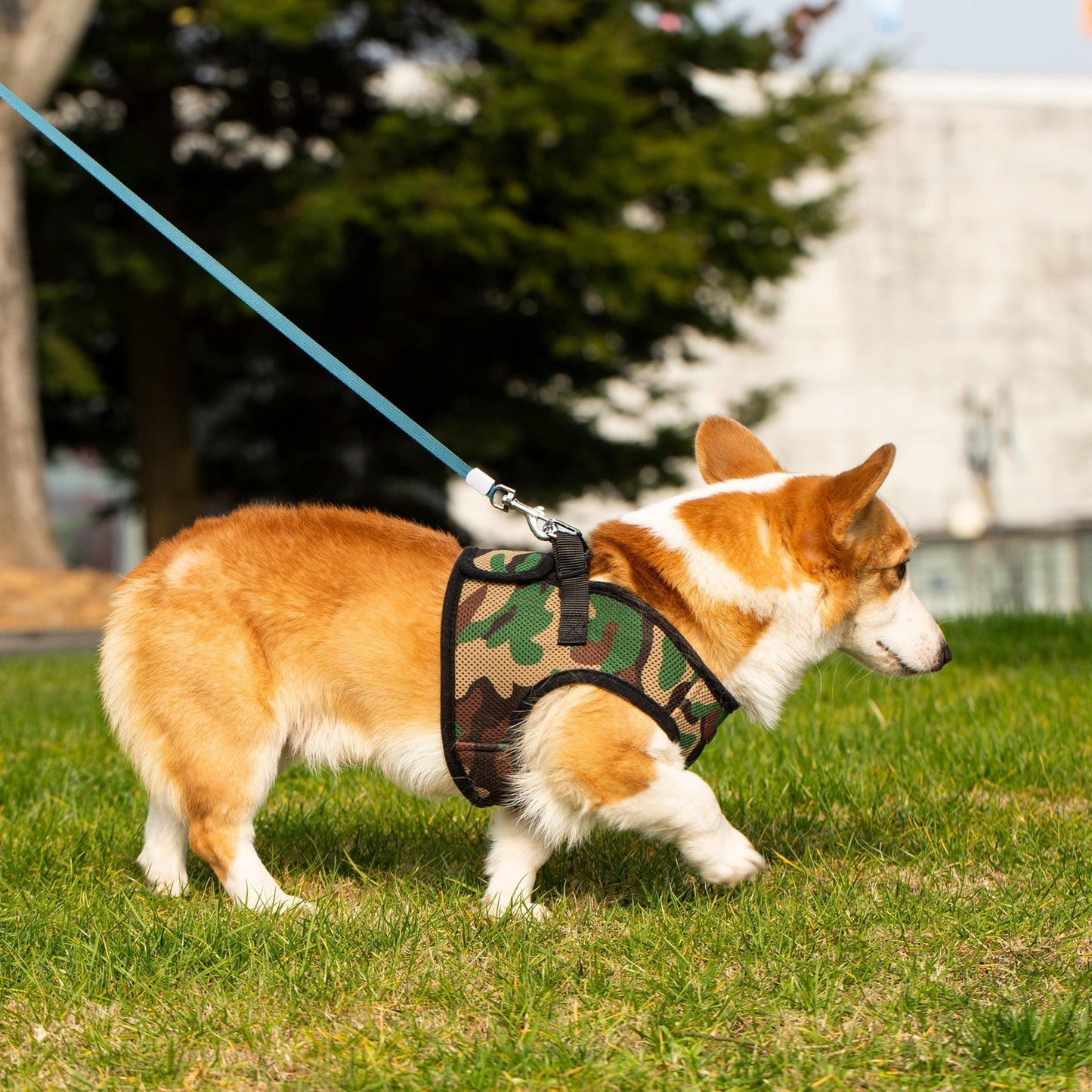 Mr. Peanut's PupTrek Small Dog/Cat Soft Mesh Step In Harness Vest