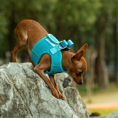 Mr. Peanut's PupTrek Small Dog/Cat Soft Mesh Step In Harness Vest