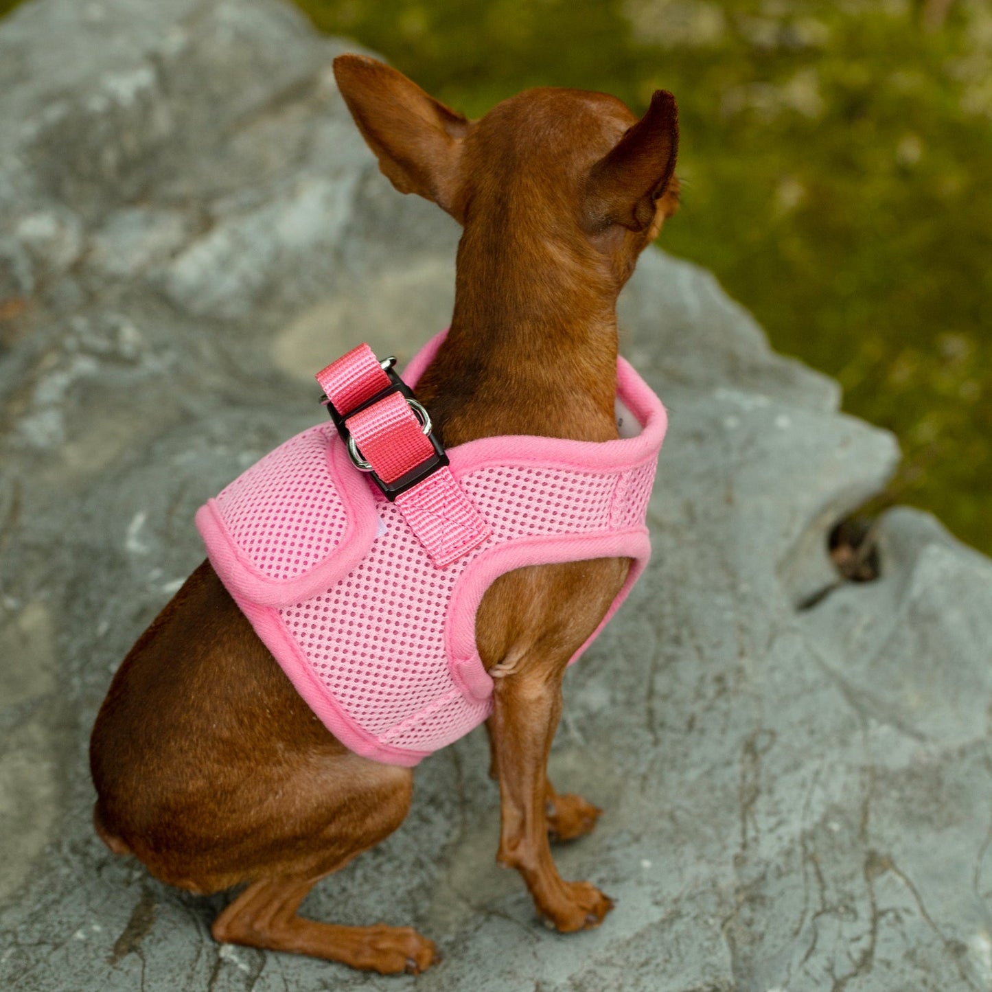 Mr. Peanut's PupTrek Small Dog/Cat Soft Mesh Step In Harness Vest