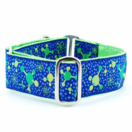 Molecular – Exclusive Martingale Dog Collar