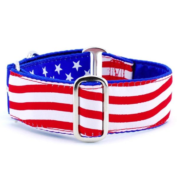 Stars and Stripes – Exclusive Martingale Dog Collar