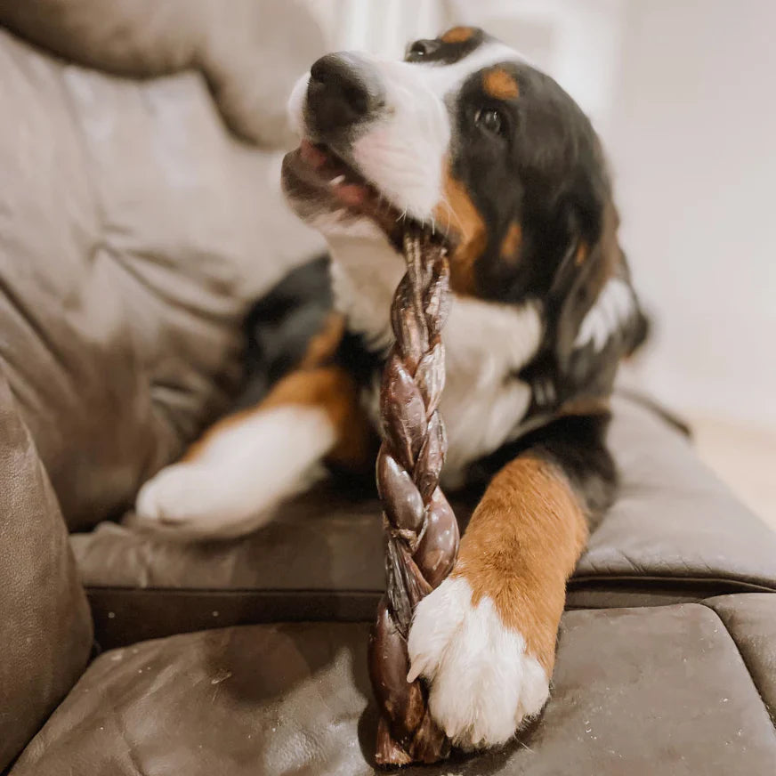 12 Inch Braided Jerky Stick